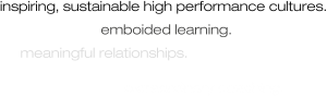 inspiring, sustainable high performance cultures. embodied learning. meaningful relationships